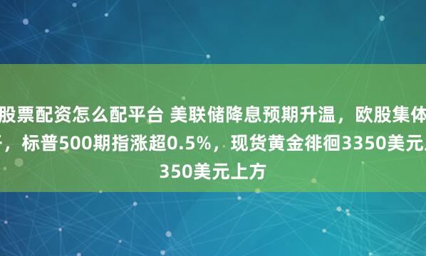 股票配资怎么配平台 美联储降息预期升温，欧股集体高开，标普500期指涨超0.5%，现货黄金徘徊3350美元上方